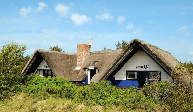 Three-Bedroom Holiday home in Blåvand 2