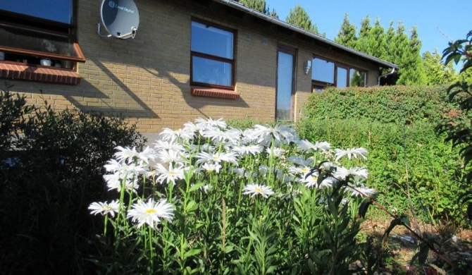 Æbelø-guidens B&B