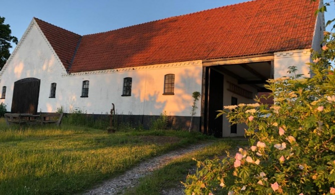 Camønogaarden et B&B, kursus center og refugie på Østmøn