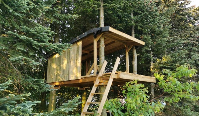 Tree Top Shelter