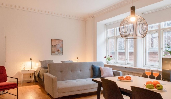 Cosy Apartment in the heart of Århus