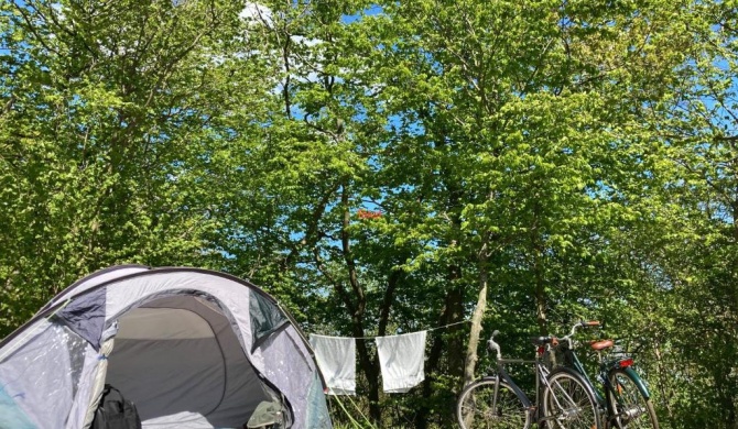 Bådsted Camping