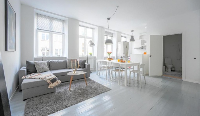 Cozy 1 bedroom apartment in the heart of Copenhagen