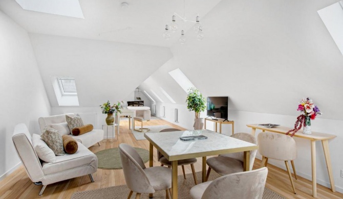 Spacious and Bright 1 bedroom apartment with terrace in central Copenhagen