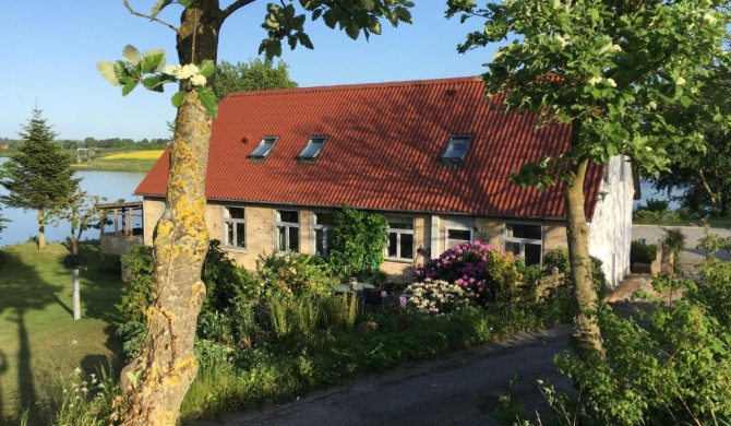 Bøgebjerggård Bed & Breakfast