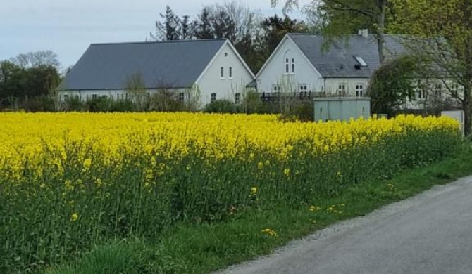 Birkelund BnB