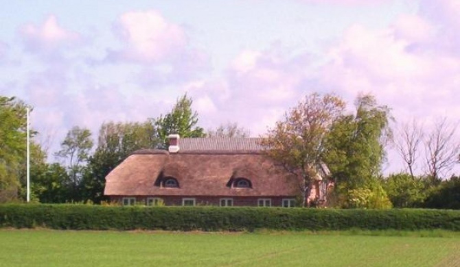 Holmsland Bed & Breakfast