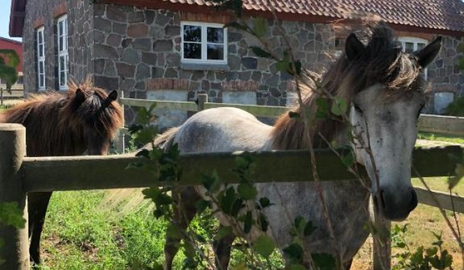 Ferielejlighed på Saxfjedgaard