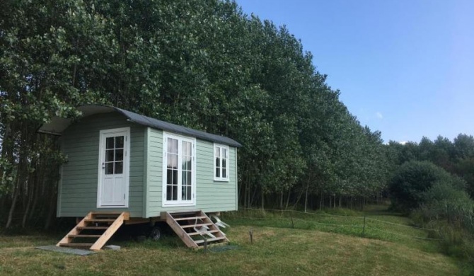 Das Tinyhaus am See idyllisch gelegen nahe der dänischen Ostseeküste