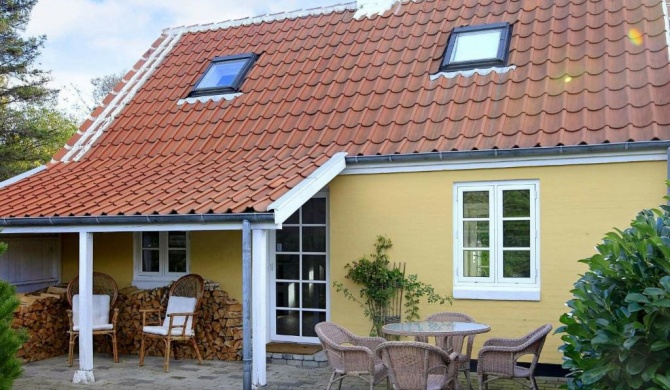 Rustic Holiday Home in Skagen near Sea