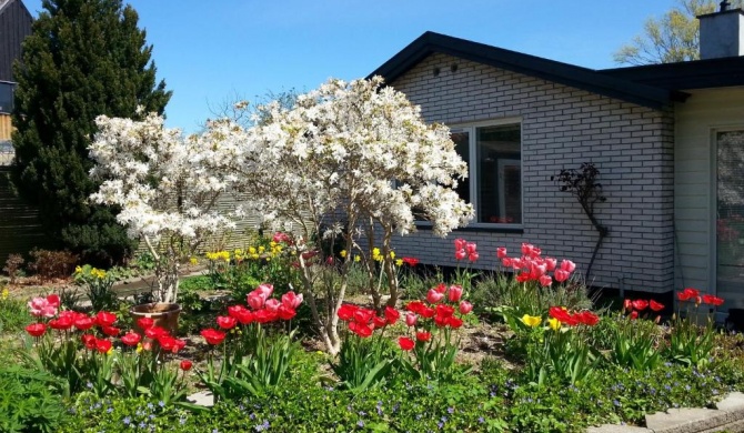 Mini-apartment in the flowerbed